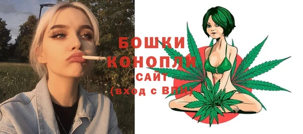 2c-b Богородск