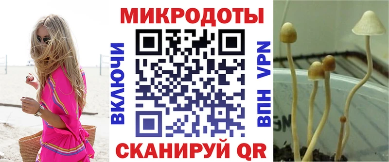 Галлюциногенные грибы ЛСД Макаров